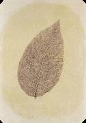 Willim Henry Fox Talbot Leaf with Its Stem Removed painting